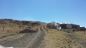 Gudwana 05