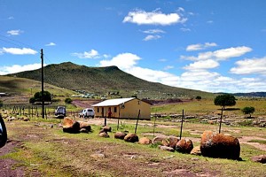 Vukane (1)
